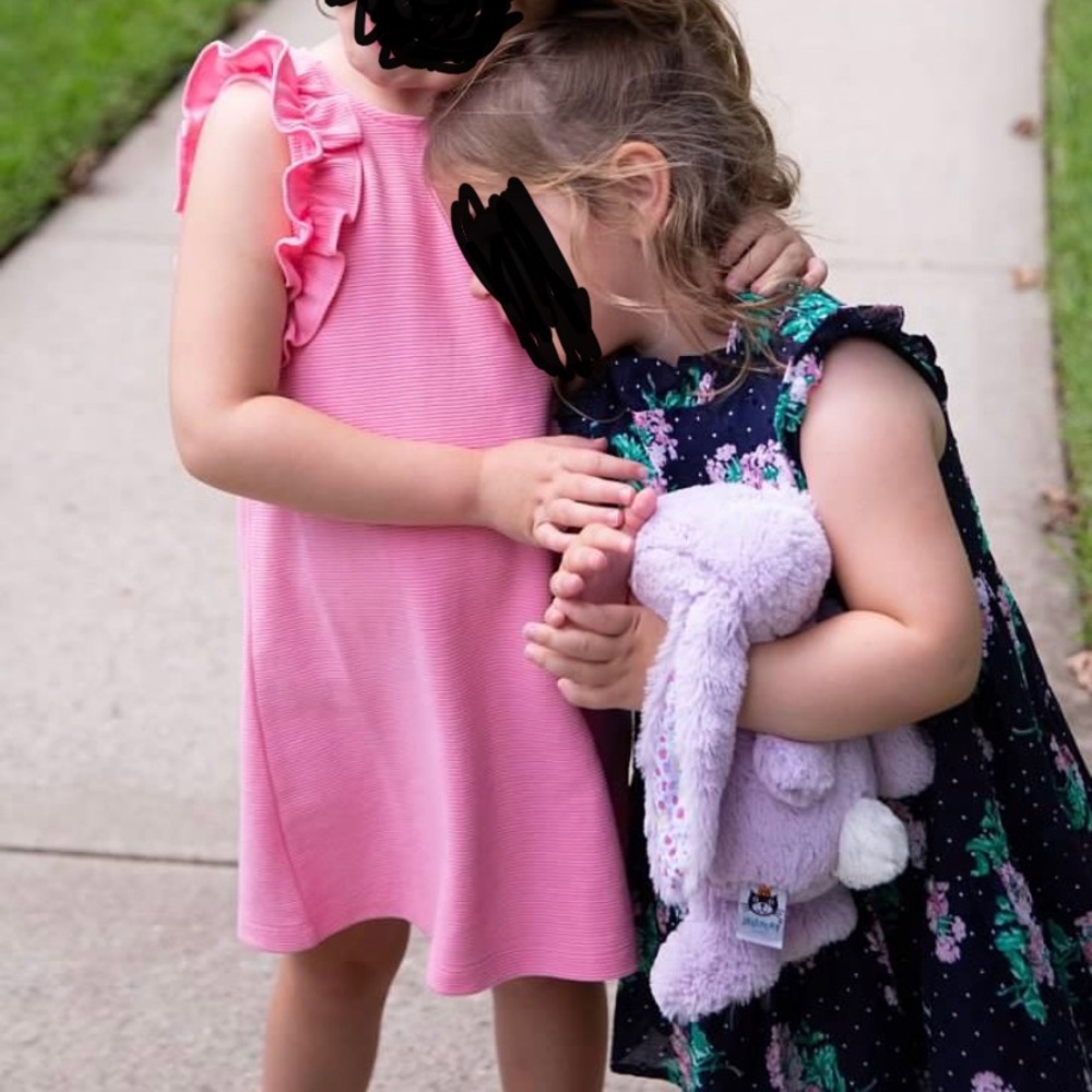 Janie and Jack pink ribbed ottoman dress 4T